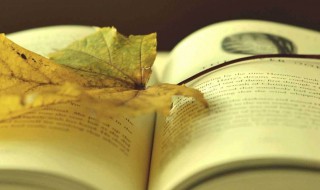 读书的重要性和好处 坚持阅读的好处