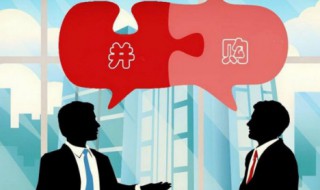 并购和收购的区别（收购公司）