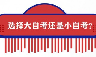 大自考和小自考的区别（大自考和小自考的区别哪个含金量高）