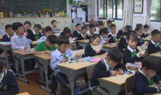 咏菊的古诗（关于菊的诗句古诗）