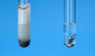 碳和浓硫酸反应方程式 cu和浓硫酸反应方程式