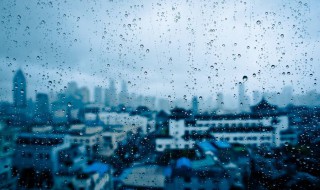 写雨的诗句古诗 描写雨的诗句有哪些?