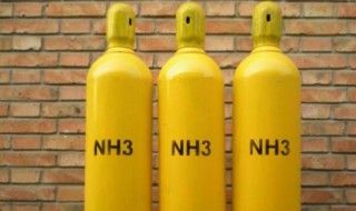 氨气和氧气反应（氨气和氧气反应条件）