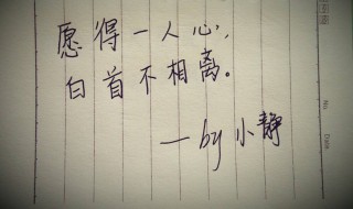 愿得一人心白首不相离出处（只愿得一心人,白首不相离出处）