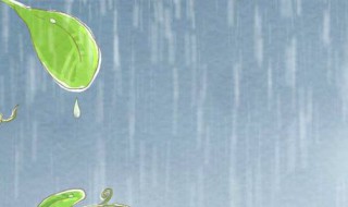 形容下雨的句子（描写雨天的优美句子）