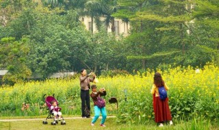 春风一拂千山绿的下一句是什么 春风一拂千山绿下一句是什么意思