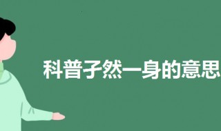 孑然一身是什么意思 孑然一身