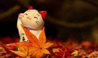 随心所欲什么意思（一意孤行）