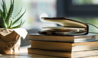 披星戴月是什么意思（披星戴月的励志句子）