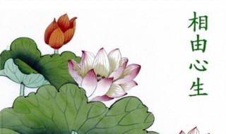 相由心生的意思是什么 相由心生的意思是什么抖音名字