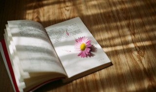 初三了该怎么学习 初三学生该怎么学