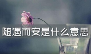 随遇而安的意思是什么 随遇而安的意思是什么造句