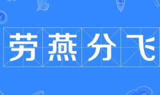 劳燕分飞什么意思（劳燕分飞是什么意思呢）