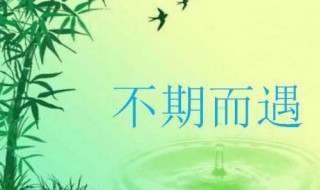 不期而遇什么意思（不期而遇什么意思爱情）