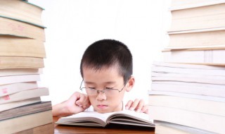 关于数学的知识（关于数学的知识小报）