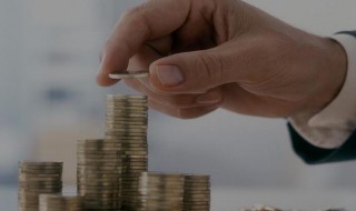 税务师报考条件是什么（注会的报考条件是什么）