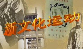 新文化运动背景 新文化运动背景,标志及主要内容