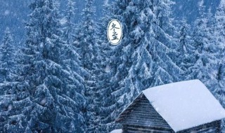 阳历是农历还是新历 阳历是农历还是新历怎么看