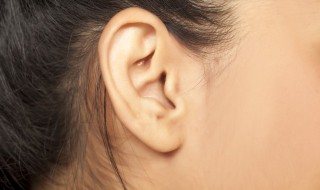 ears是什么意思 ears是什么意思中文