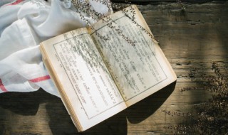 投其所好的意思（投其所好的意思?）