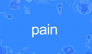 pain什么意思（pain什么意思中文翻译）