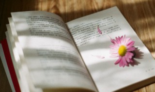 数以万计的意思（数以万计的意思是什么英语）