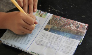 千头万绪是什么意思 千头万绪是什么意思指什么生肖?