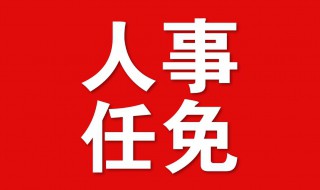 任免是什么意思（政府任免是什么意思）