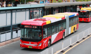 bus是什么意思（busy是什么意思）