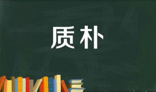 质朴的意思 典雅质朴的意思