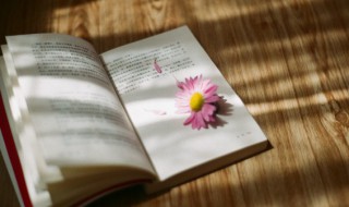 文艺复兴是什么意思（他是我的文艺复兴是什么意思）