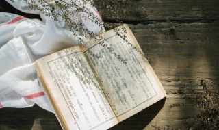 有教无类是谁的观点 谁提出有教无类