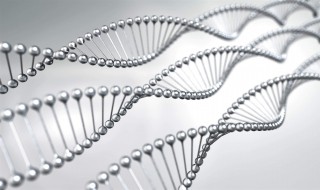 什么是生物工程 生物工程是?