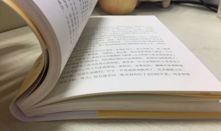 进口方融资是什么意思（出口融资是什么意思）