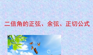 正切是什么边比什么边（三角形正切是什么边比什么边）