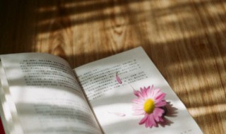 尚能饭否是什么意思 尔等尚能饭否是什么意思