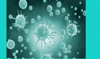 生物学是研究什么和什么的科学（生物学是研究什么和什么的科学研究对象是什么）