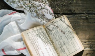 姿态是什么意思（姿态是什么意思解释）