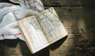 主见是什么意思（自己的主见是什么意思）