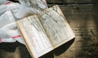 释放的意思 刑满释放的意思