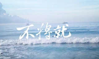 将就的意思 能讲究也能将就的意思