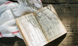 使命的意思（唐雎不辱使命的意思）