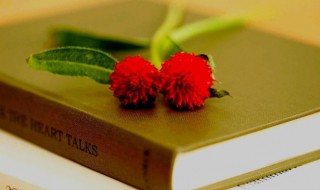 固然是什么意思 着实是什么意思