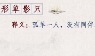 形单影只什么意思（形单影只什么意思及生肖）