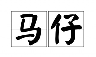 马仔是什么意思 老板的马仔是什么意思