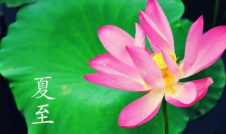 夏至第几节气 夏至是夏天的第几个节气