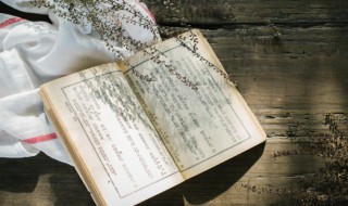 傻子是什么意思（男生给女生备注傻子是什么意思）