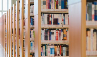 谙的意思（风雨旧曾谙的谙的意思）