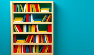 伊始是什么意思是什么 伊始是什么意思是什么生肖