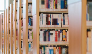 杏坛是什么意思 古代的杏坛是什么意思